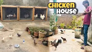 Murghiyo Ko Unka New Ghar Dekhaya aur New Chicken House Mein Shift Kiya😍