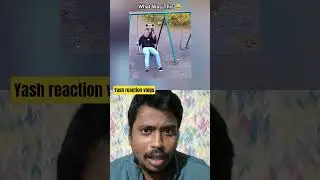 Bears vs. Swing Set: A Hilarious Showdown #funny #comedy #fun #memes #funnymemes #viral #trending