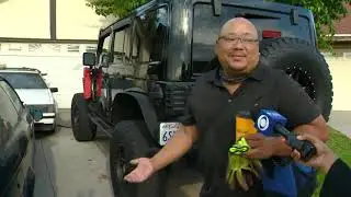 COW ESCAPE!