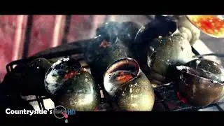 Cooking River Snail In Countryside #BophaRecipes
