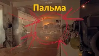 Пальма | Battlefield 6
