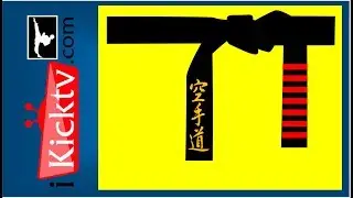 Upper Levels of Black Belt - 10th Degree Grand Master