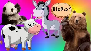 The color of the animals depends on the living conditions  - wolf, cow, peacock, sheep, monkey, cat,