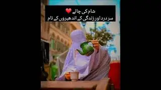 Sham ki chai sar dard aur zindagi k andero k naam🙃