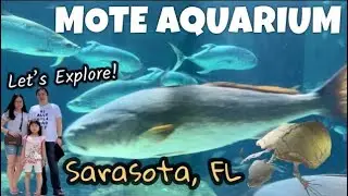 Sarasota Florida Vlog - MOTE Marine Laboratory & Aquarium - Explore with US‼️ #explore #travel