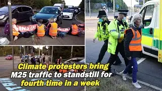 Climate protesters bring M25 traffic to standstill for fourth time in a week, World News, Stand Up