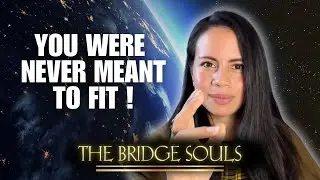 Is your soul purpose being a ''bridge'' ? #starseed
