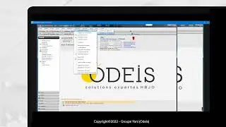 Webinar transfert d'articles sur Odeis Retail