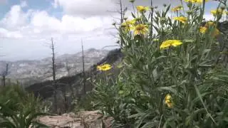 At The Top: On the summit of mighty Mount Lemmon