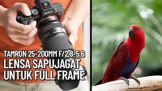 Tamron 25-200 lensa Sapujagat Full Frame Sony FE - feat. Sony A7 III
