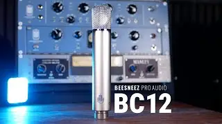 Introducing the BeesNeez BC12 Tube Condenser Microphone
