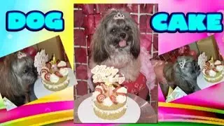 Торт в честь дня рождения собаки 🎂 || Как сделать торт в виде собаки