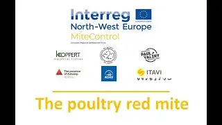 MITECONTROL VIDEO 1 : The poultry red mite