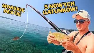 DZIWNE RYBY W CHORWACJI! - CO ZŁOWIŁEM W MORZU?