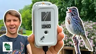 Testing Haikubox: Can This Device Really Identify Your Backyard Birds by Their Songs?