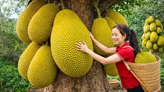 Harvesting a Giant Jackfruit &mdash; The Biggest Golden Treasure Hidden in the Tropical Orchard