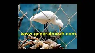 Generalmesh STAINLESS STEEL WEBNET AVIARY，Inox X-tend Aviary Netting, inox 316 cable zoo mesh