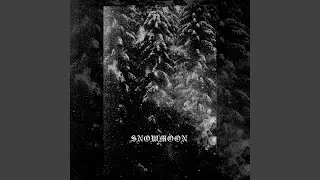 Snowmoon V