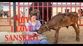 Why I Love Sanskrit (in Sanskrit!)