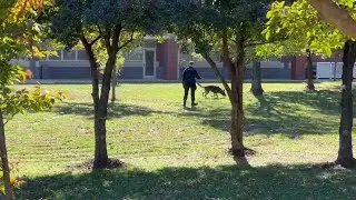 Blair High School stabbing leads to police investigation | FOX 5 DC