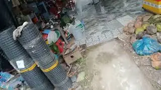 Mít tố nữ sầu riêng và ... #0939890567  nhà vườn Ngọc Thảo 