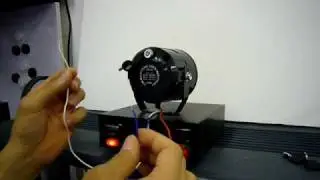 Asianwolf Backup Battery w/ Built-in Car Alarm Siren  from asianwolf.com