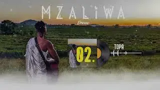 DRIEMO - TOPA (Official audio visualizer) #Mzaliwa
