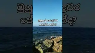 #negombo #motivation #beach #nature #love #srilanka #travel #sea #sunset #ocean #neture #life