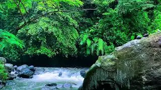 Relaxing Sounds For Sleep No Music - River Sound Sleep 10 Hours