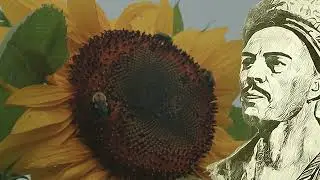 Hak Bir G&ouml;n&uuml;l Verdi Bana (YUNUS EMRE ŞİİRİ-MUHTEŞEM İLAHİ)-(HALİL NECİPOĞLU)