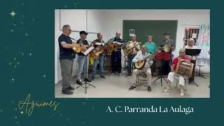 FELICITACIÓN NAVIDEÑA PARRANDA LA AULAGA 24 12 25