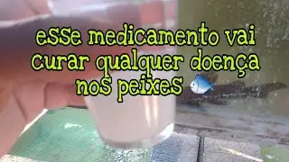 O melhor tratamento de feridas de peixes que vc ja viu no YouTube #comotratarferidaempeixe