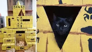 EPIC Maze Pyramid for Cats!