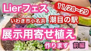 【多肉植物】寄せ植え❣️展示用大きな寄せ植え作ります❣️【前編】