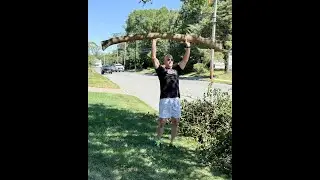Michael's Liquid BioCell Story