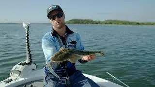 Shallow Water Flathead on the Maverick & STYX Minnow with Luke Cameron
