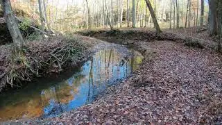 Rim Rock - Pounds Hollow