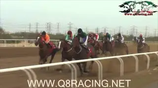 محيا الخير لإسطبل الغران