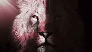 Logan Winter Cunningham - SHADOW LION (Midnight Circle Version) &ndash; Official Audio #tribal #tribalrap