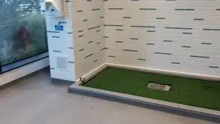Atlanta airport pet relief area, terminal T