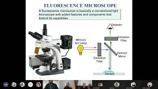 An Evolution in Imaging Technologies: Fluorescence Microscopy to Mass Cytometry