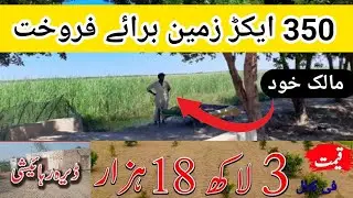 Land for sale | Land for sale in Pakistan | Agricultural land| Land for sale 007