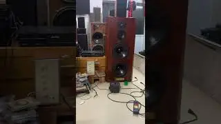 Hay mất người l&agrave; c&oacute; thật. Loa Celestion-Ditton 88 . Mời ae ththưởng thức.lh0877771970