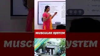 MUSCULAR SYSTEM #tnpsc #shorts #sciencepreviousyearquestions #tnpscgroup1