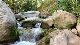 Santa Paula Creek (4K 60fps nature sound)