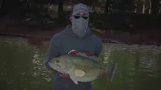 Bassmaster Fishing 2022 Lake Hartwell online open round 3!!!