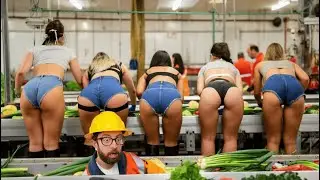 Bad Day at Work? Ultimate Construction Fails Compilation  - Episode 2 #construction #engineering