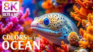 Subtle Currents 8K ULTRA HD - Dreamlike Sea Life with Calming Ocean Waves