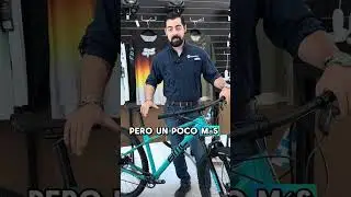 Trail, Enduro o Downhill&hellip; &iquest;sabes cu&aacute;l es tu tipo de MTB?🤔