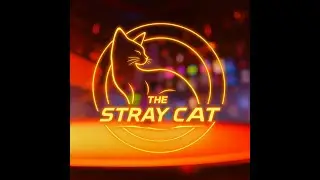 The Stray Cat | Pony's Whimsical Event | Feat. DJ Harmony